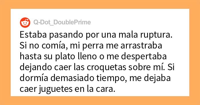 30 Actos increíblemente amables que las mascotas hicieron por sus dueños y que demuestran que el amor de una mascota no tiene límites