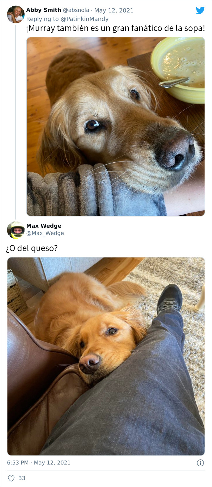 29 Dogs Making Faces To Let Their Owners Know How Much They Want Their Food
