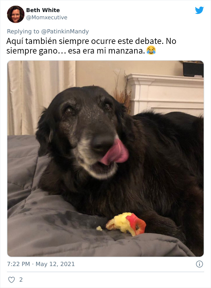 29 Dogs Making Faces To Let Their Owners Know How Much They Want Their Food
