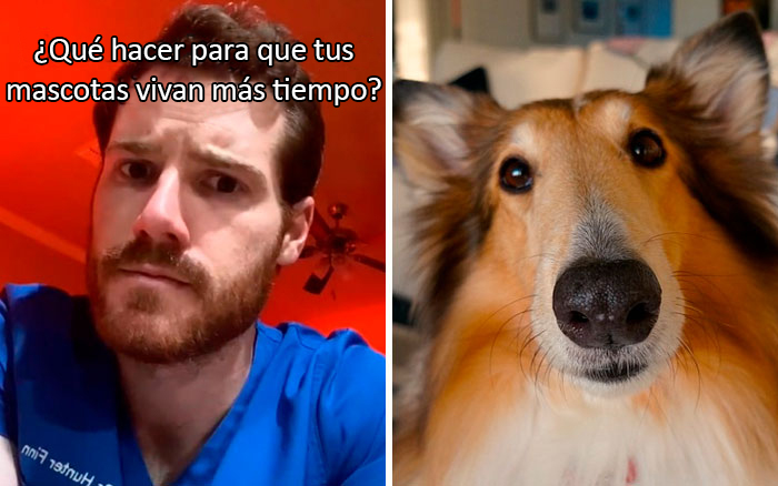 30 Useful And Lesser-Known Pet Care Tips By This Vet