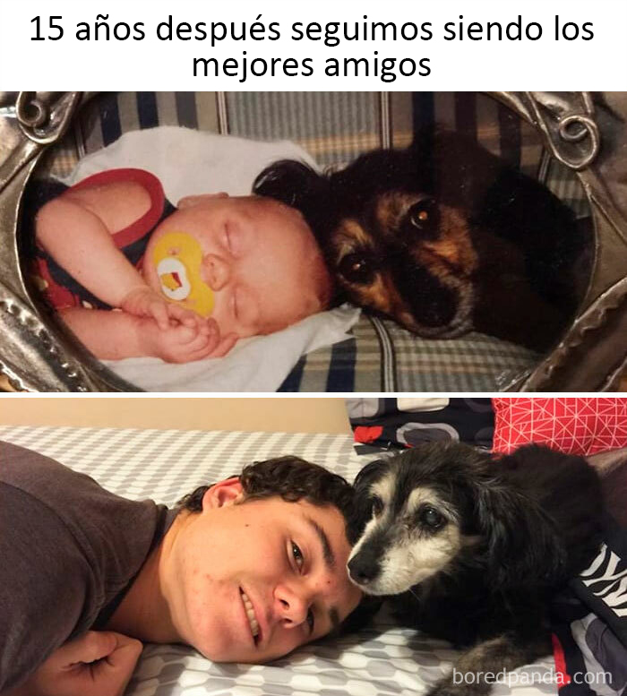 40 Truthful Memes About What It's Like To Have A Dog
