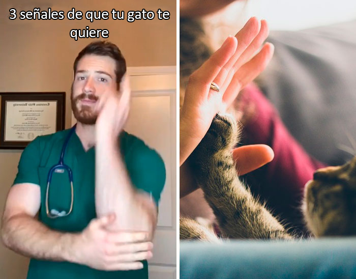 30 Useful And Lesser-Known Pet Care Tips By This Vet