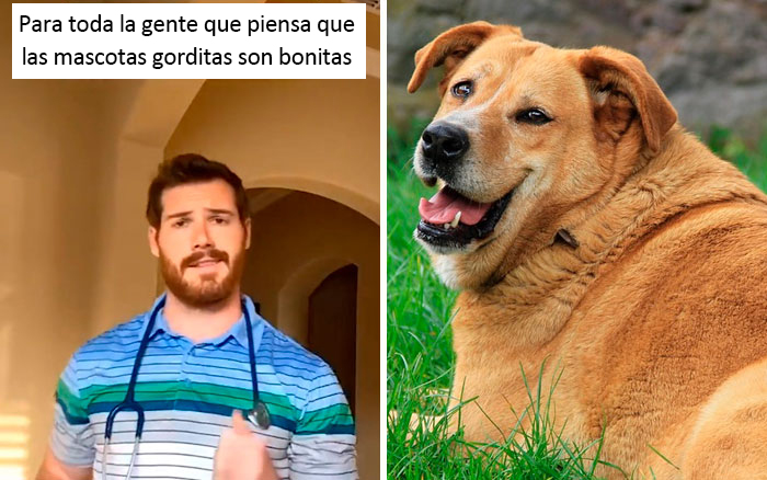 30 Useful And Lesser-Known Pet Care Tips By This Vet