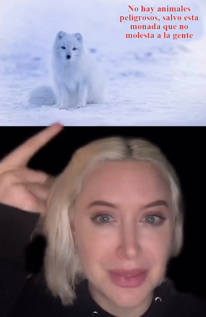 6 Datos sobre Islandia que quizá no conozcas y que lo convierten en el país más seguro del mundo, según comparte esta usuaria de TikTok
