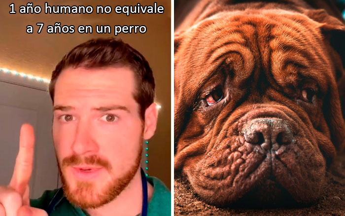 30 Useful And Lesser-Known Pet Care Tips By This Vet