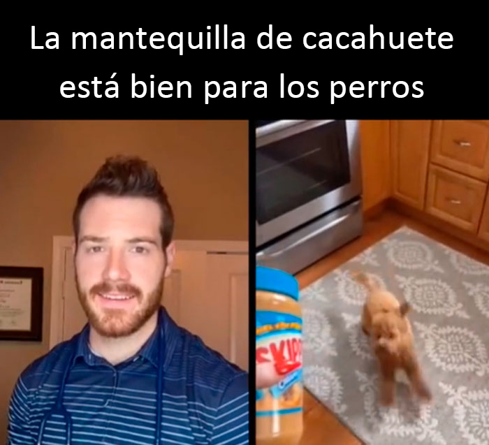 30 Useful And Lesser-Known Pet Care Tips By This Vet