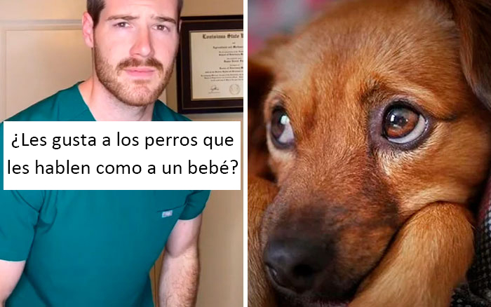 30 Useful And Lesser-Known Pet Care Tips By This Vet