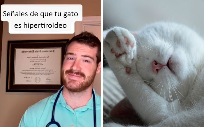30 Useful And Lesser-Known Pet Care Tips By This Vet