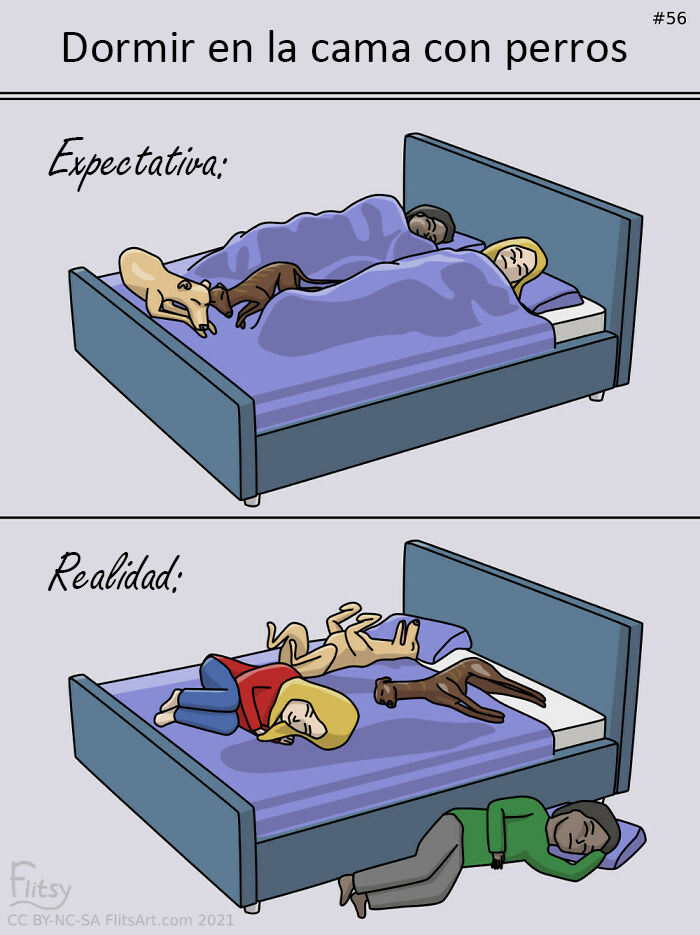 40 Truthful Memes About What It's Like To Have A Dog