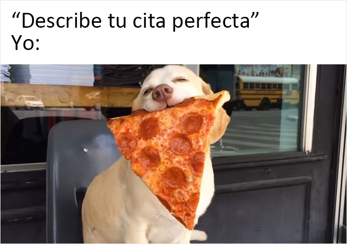 40 Truthful Memes About What It's Like To Have A Dog