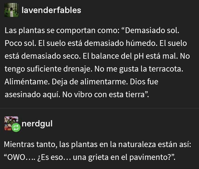No vibro con esta tierra