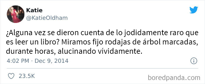 Rodajas de árbol marcadas