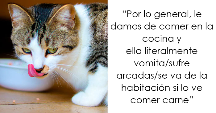 Esta hijastra monta un escándalo cuando sus padres se niegan a alimentar a su gato con comida vegana