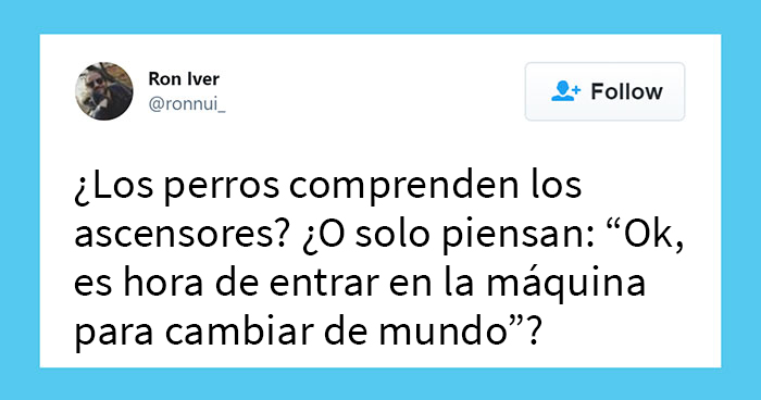 20 Frases ocurrentes nunca vistas que la gente compartió en este grupo