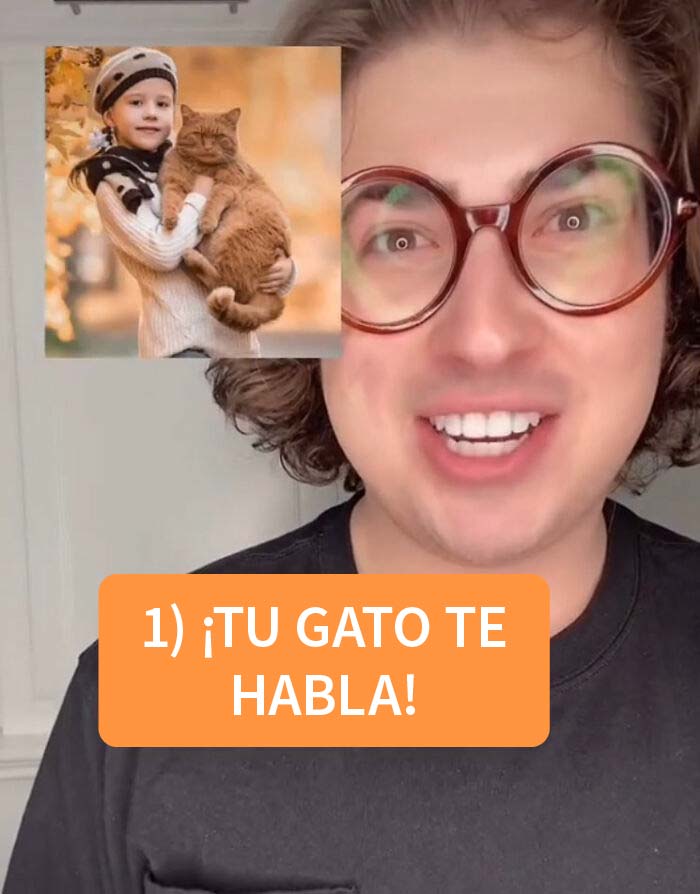3 Datos de mascotas