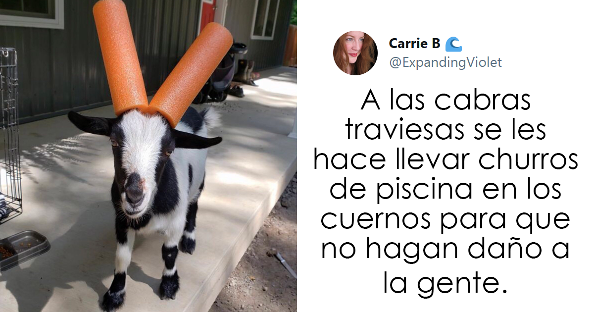 Este padre preguntó en Internet sobre datos interesantes que contar a sus 2 hijos, y recibió estas 20 respuestas