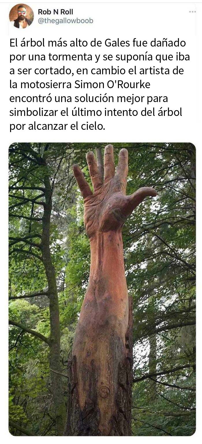 Mano gigante en el bosque
