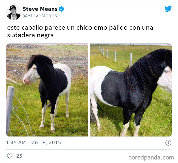 Gracias, odio a este caballo emo