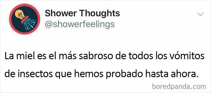 Gracias, odio la miel