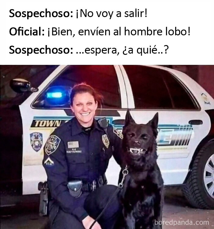 Gracias, odio a los hombres lobo policía 