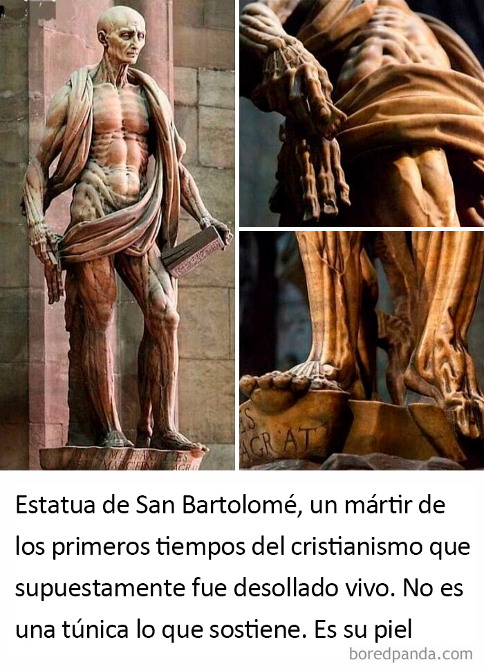 Gracias, ahora odio a un santo