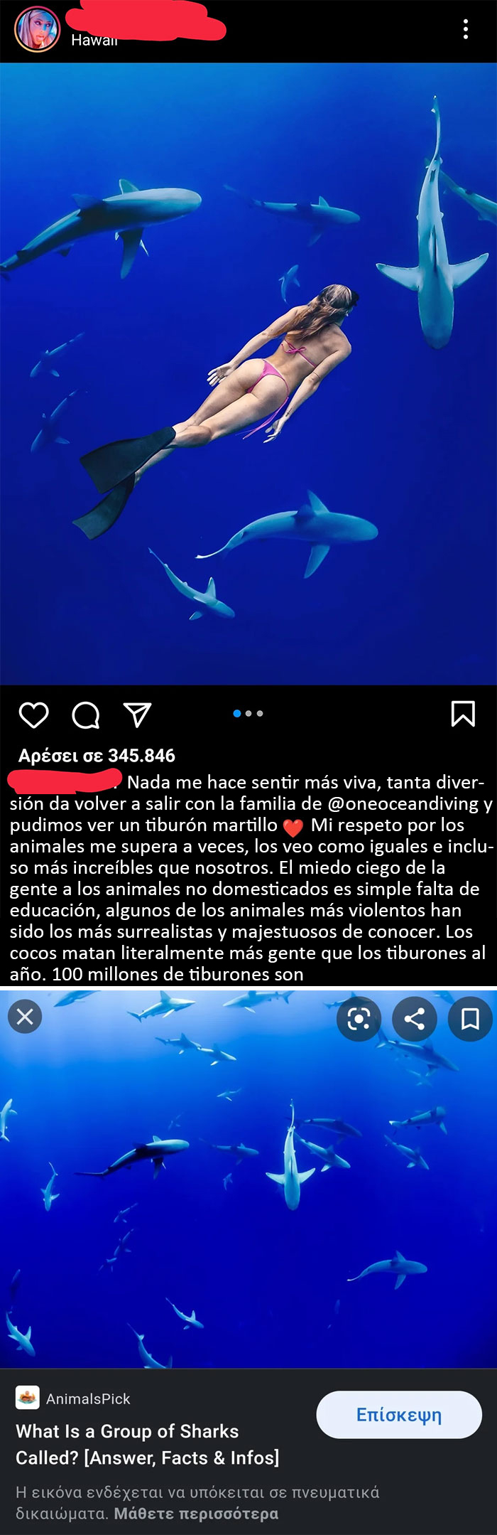 Supongo que fingir nadar con tiburones es lo último ahora, robando descaradamente una imagen de fondo de Internet