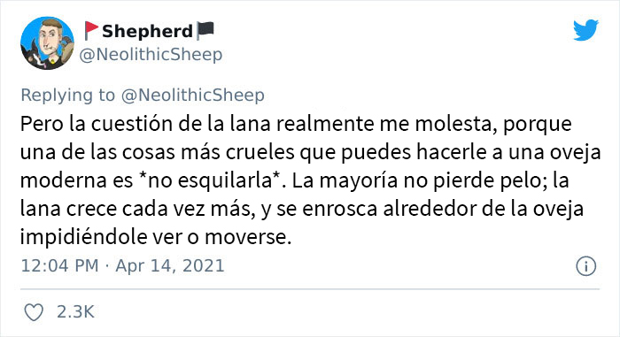“Ninguna de tus prendas está libre de crueldad”: esta persona rompe con el mito del consumo ético bajo el capitalismo