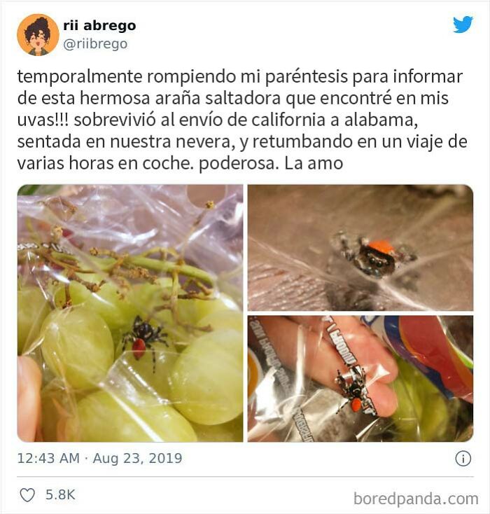 Es una modelo y una superviviente