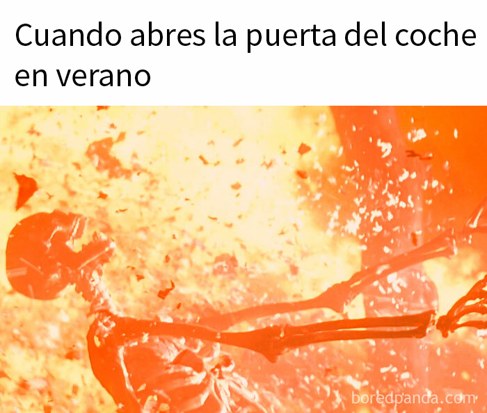 35 Of The Funniest Memes To Kick Off Your Summer