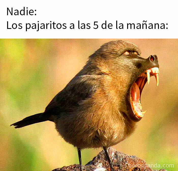 35 Of The Funniest Memes To Kick Off Your Summer