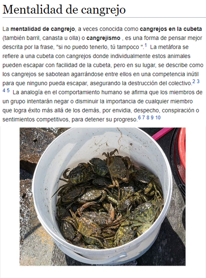 La Gente Sabotea Al Más Talentoso Del Grupo Por Envidia Y Rencor