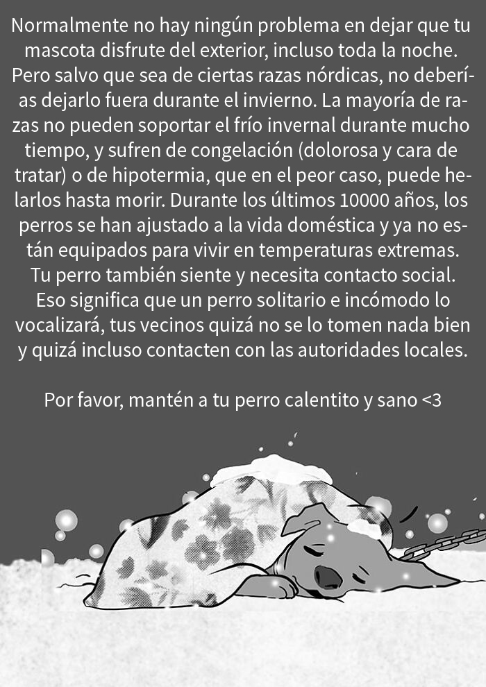 La artista que nos hace llorar con sus cómics de animales presenta uno nuevo sobre un perro congelado