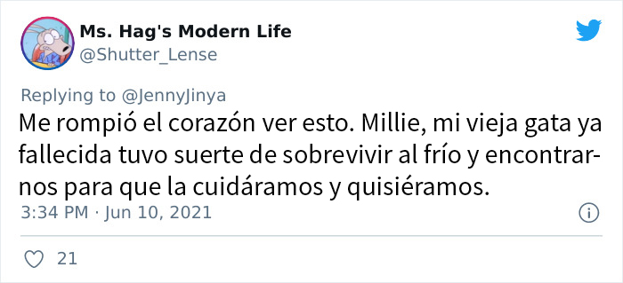 La artista que nos hace llorar con sus cómics de animales presenta uno nuevo sobre un perro congelado