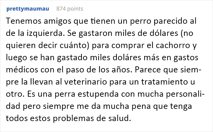 La crianza de perros está rediseñando la cara del Bulldog Francés para mejorar su salud