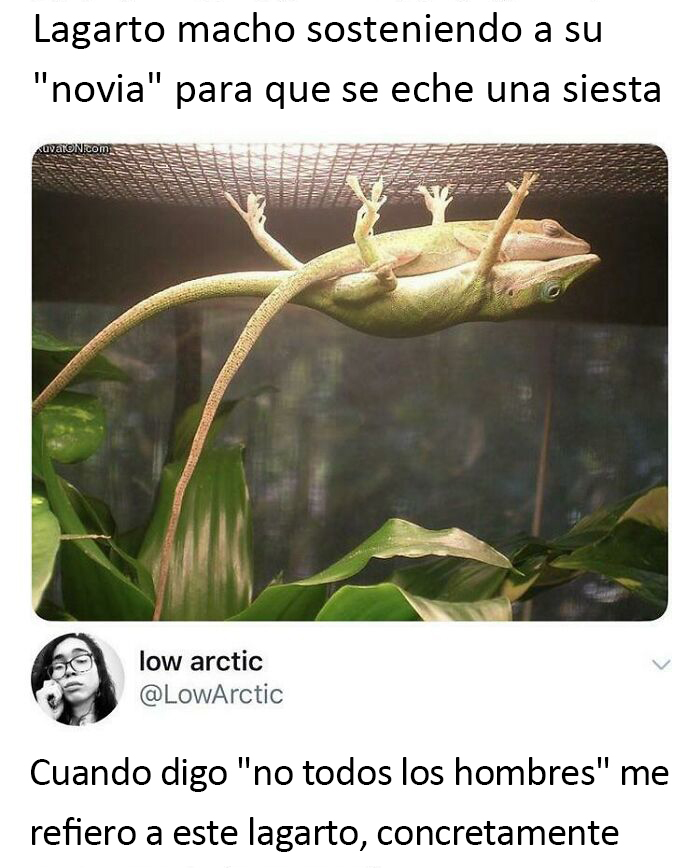 Un hombre de verdad. Tomad nota, idiotas