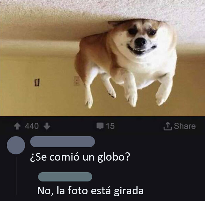 La gravedad. Funciona de manera asombrosa... Oh