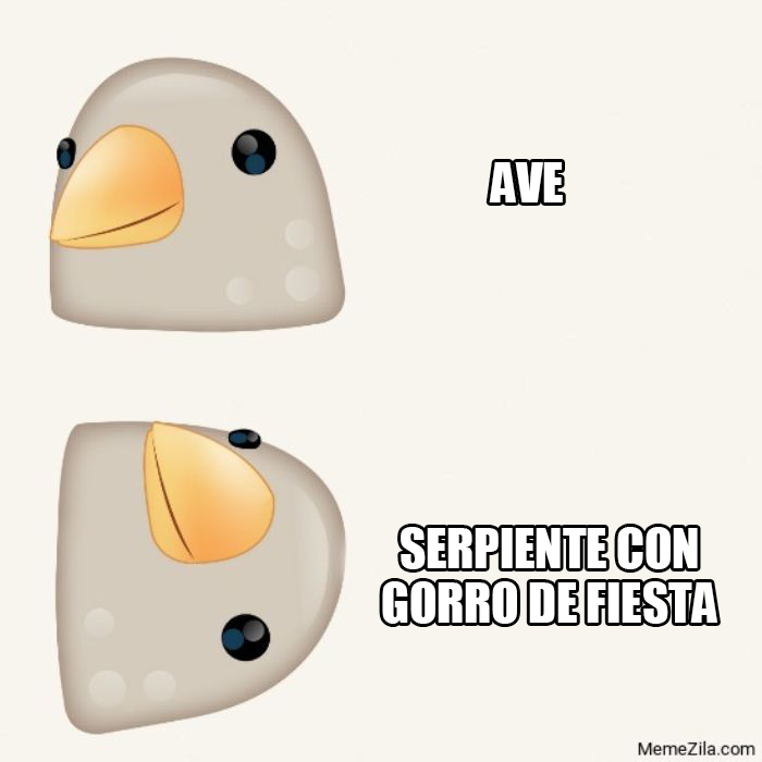 50 Of The Best Bird Memes Posted Online