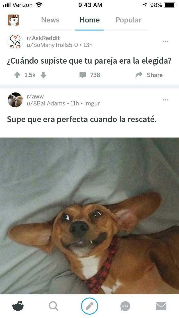 Al menos han encontrado a alguien