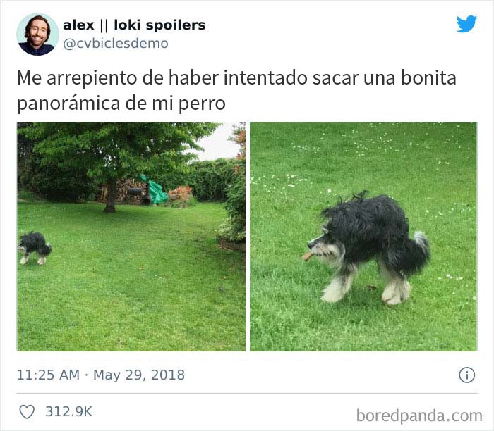 Vaya