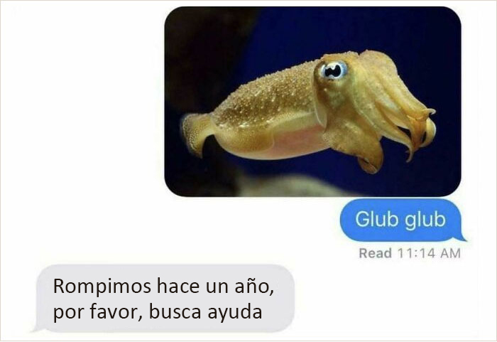 Contacto con tacto