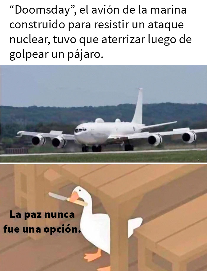 ¿Qué cerebro de pájaro diseñó esto?