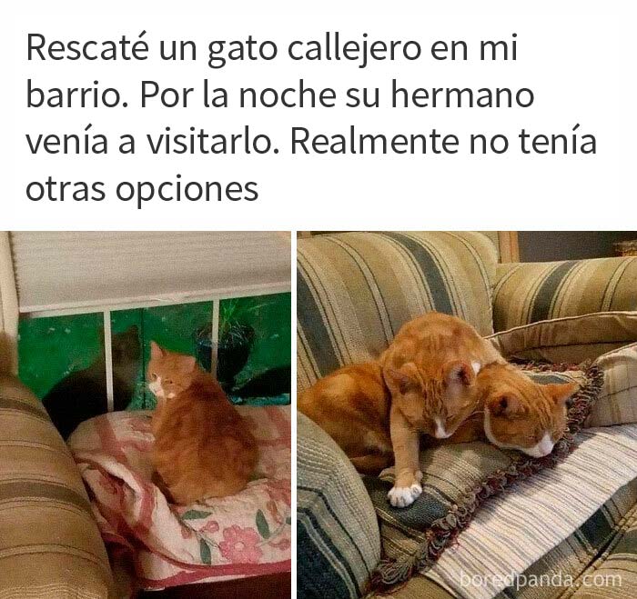 50 Posts From The "Heck This Is Super Wholesome" Group That Only Have Positive Vibes