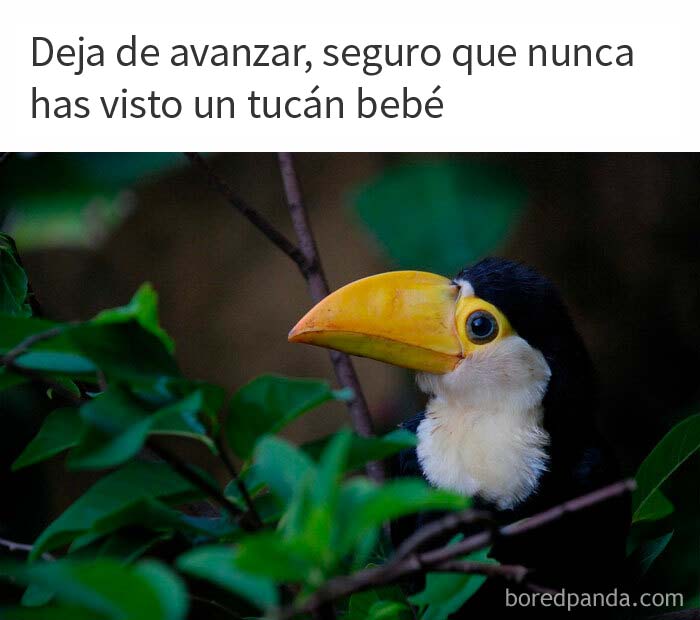 50 Posts From The "Heck This Is Super Wholesome" Group That Only Have Positive Vibes