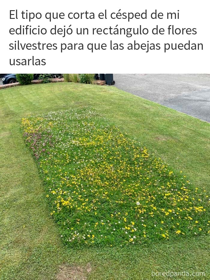 50 Posts From The "Heck This Is Super Wholesome" Group That Only Have Positive Vibes