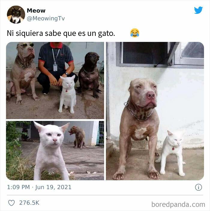 50 Posts From The "Heck This Is Super Wholesome" Group That Only Have Positive Vibes