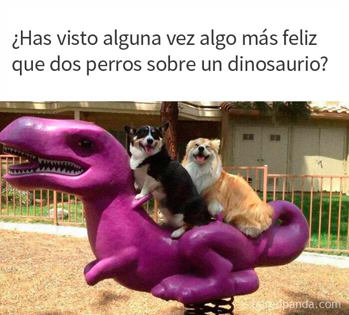 50 Posts From The "Heck This Is Super Wholesome" Group That Only Have Positive Vibes