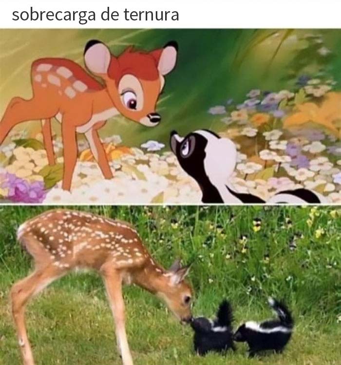 50 Posts From The "Heck This Is Super Wholesome" Group That Only Have Positive Vibes