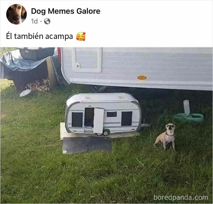 50 Posts From The "Heck This Is Super Wholesome" Group That Only Have Positive Vibes