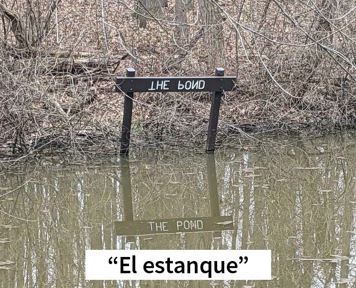 30 Personas que encontraron sin querer un huevo de Pascua en la vida real (nuevas fotos)