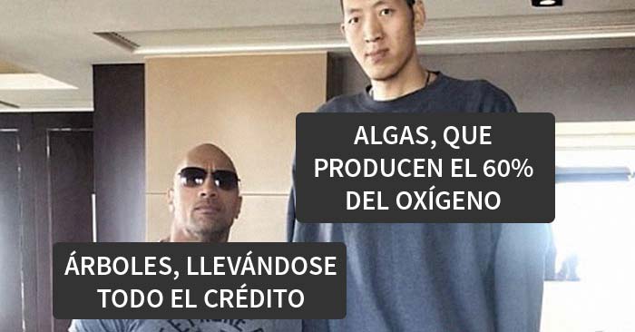 18 Ingeniosos memes científicos que combinan perfectamente humor y conocimiento